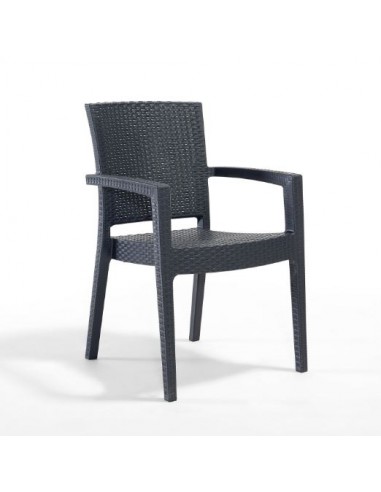 Novussi Paris Rattan Koltuk