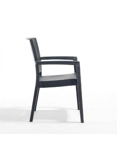 Novussi Paris Rattan Koltuk