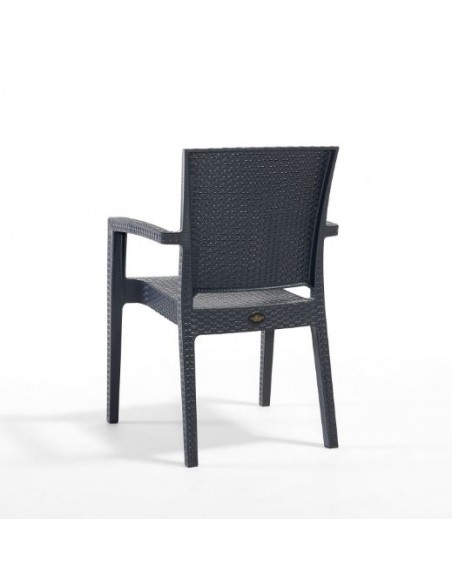 Novussi Paris Rattan Koltuk