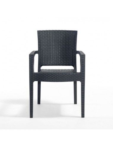 Novussi Paris Rattan Koltuk