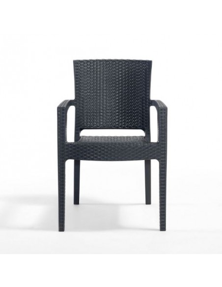 Novussi Paris Rattan Koltuk