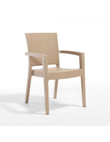 Novussi Paris Rattan Koltuk