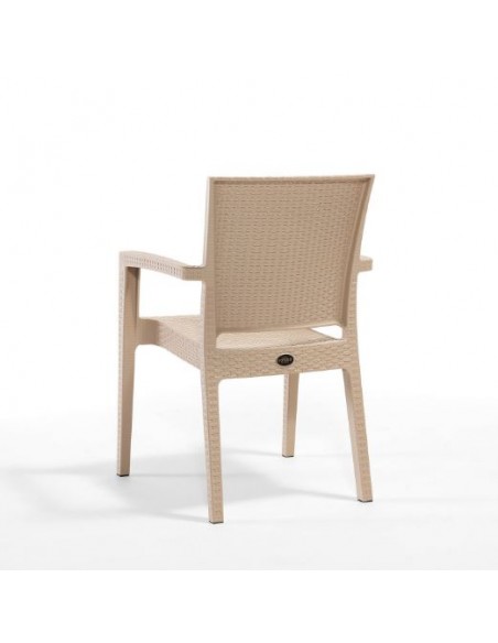 Novussi Paris Rattan Koltuk