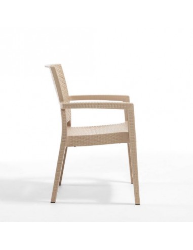 Novussi Paris Rattan Koltuk
