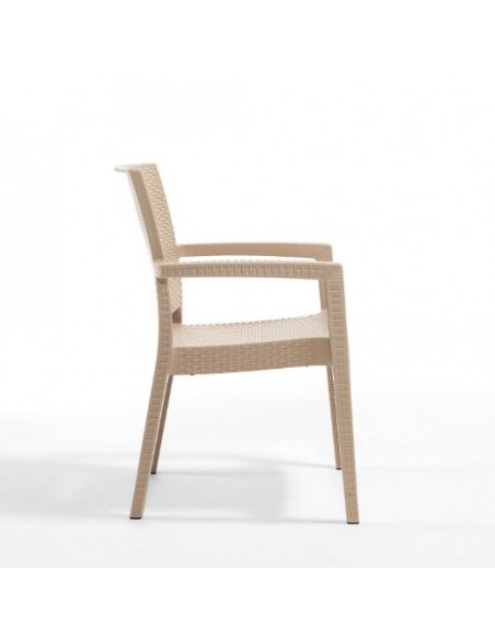 Novussi Paris Rattan Koltuk