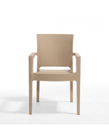 Novussi Paris Rattan Koltuk