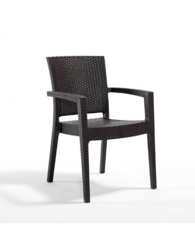 Novussi Paris Rattan Koltuk