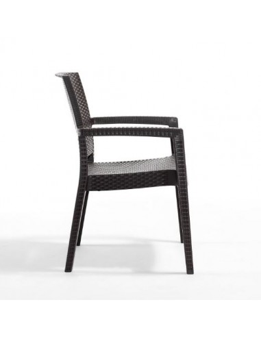 Novussi Paris Rattan Koltuk