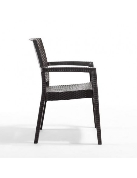 Novussi Paris Rattan Koltuk
