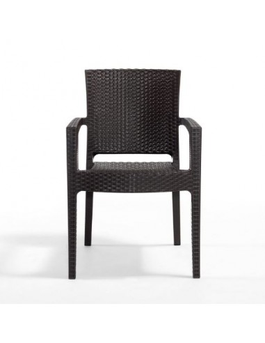 Novussi Paris Rattan Koltuk