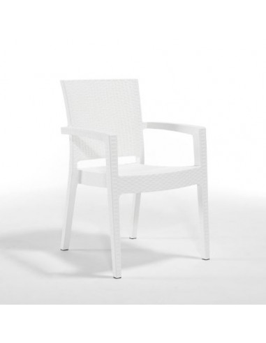 Novussi Paris Rattan Koltuk