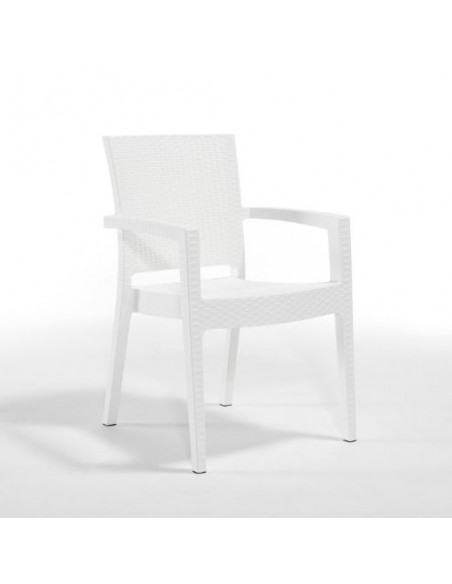 Novussi Paris Rattan Koltuk
