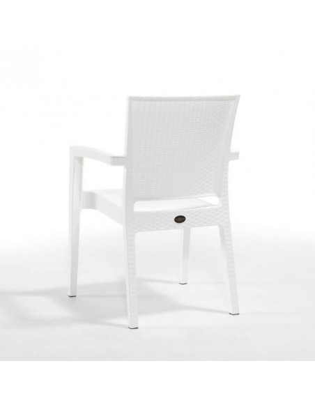 Novussi Paris Rattan Koltuk