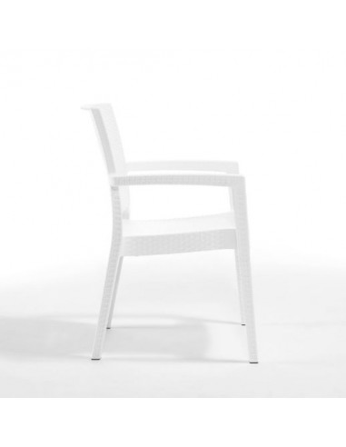 Novussi Paris Rattan Koltuk