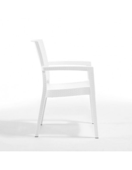 Novussi Paris Rattan Koltuk
