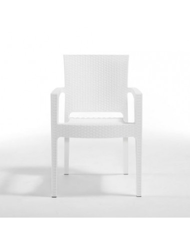 Novussi Paris Rattan Koltuk