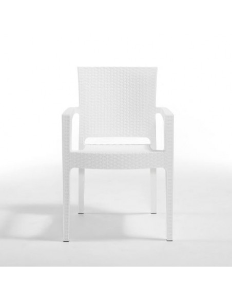 Novussi Paris Rattan Koltuk